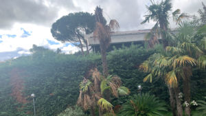 Rubrica Viaggio intorno alla mia camera 