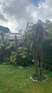 Rubrica Viaggio intorno alla mia camera