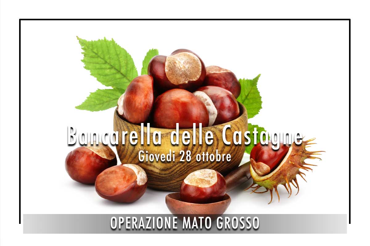 operazione mato grosso 19 ottobre 2021